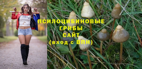 PSILOCYBIN Алзамай