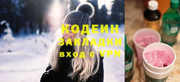 PSILOCYBIN Алзамай
