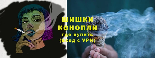 PSILOCYBIN Алзамай