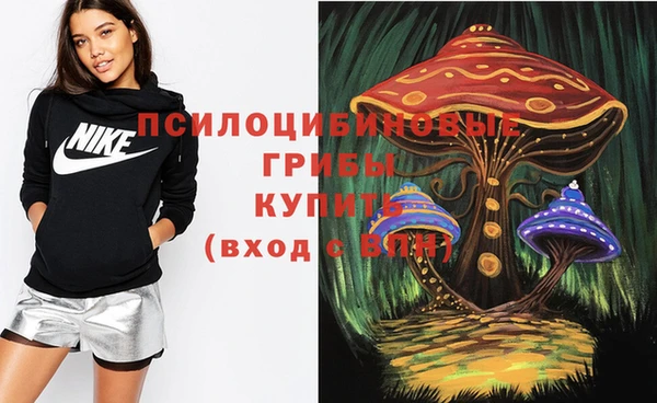 PSILOCYBIN Алзамай