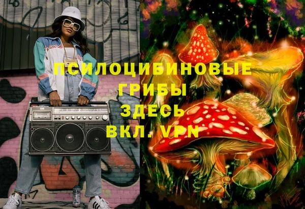 PSILOCYBIN Алзамай