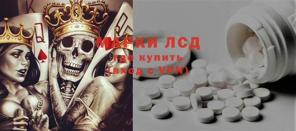 PSILOCYBIN Алзамай