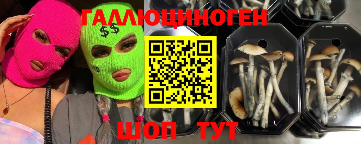 Качканар  Псилоцибиновые грибы мухоморы  Галлюциногенные грибы ЛСД  Вход с VPN 